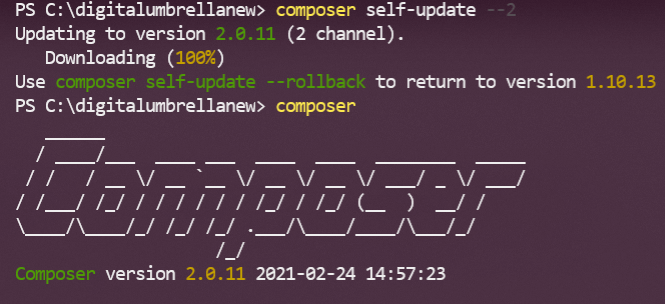 laravel composer update