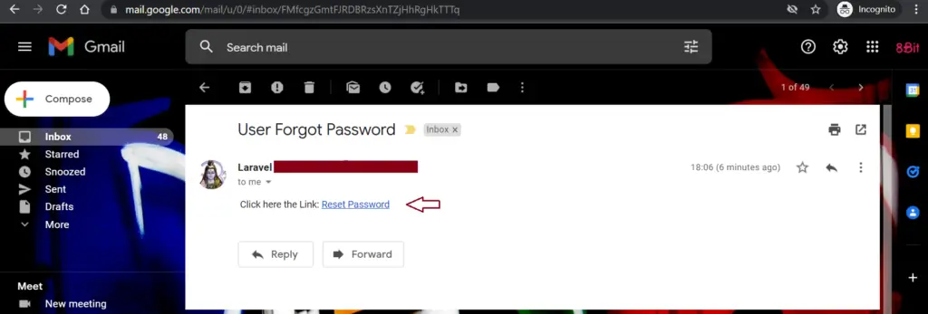 reset password URL in Gmail in Laravel