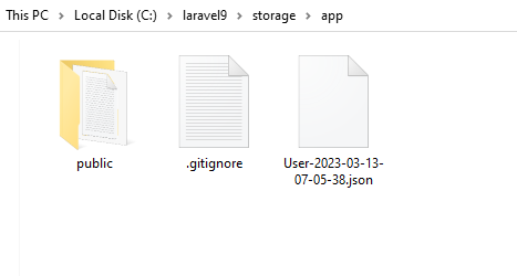 save export JSON file in storage in laravel